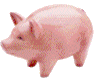 piggy.gif